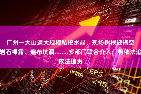 广州一大山遭大规模私挖水晶，现场树根被掏空、岩石裸露、遍布坑洞……多部门联合介入：将依法追责