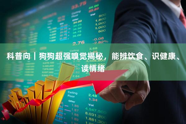 科普向｜狗狗超强嗅觉揭秘，能辨饮食、识健康、读情绪