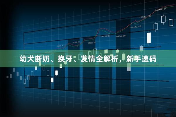 幼犬断奶、换牙、发情全解析，新手速码